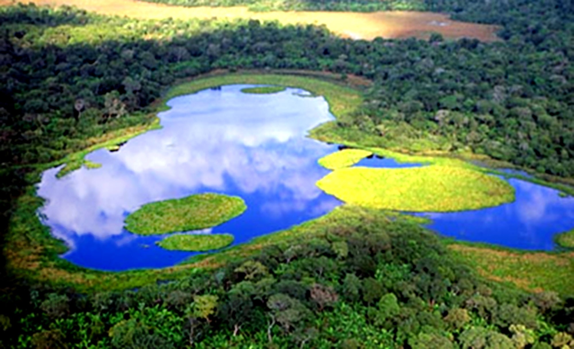 Озеро Пантанал Бразилия