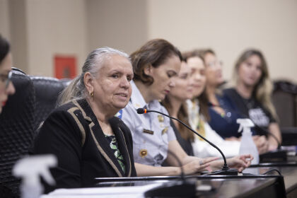 Audiência debate criação da Secretaria Estadual das Mulheres