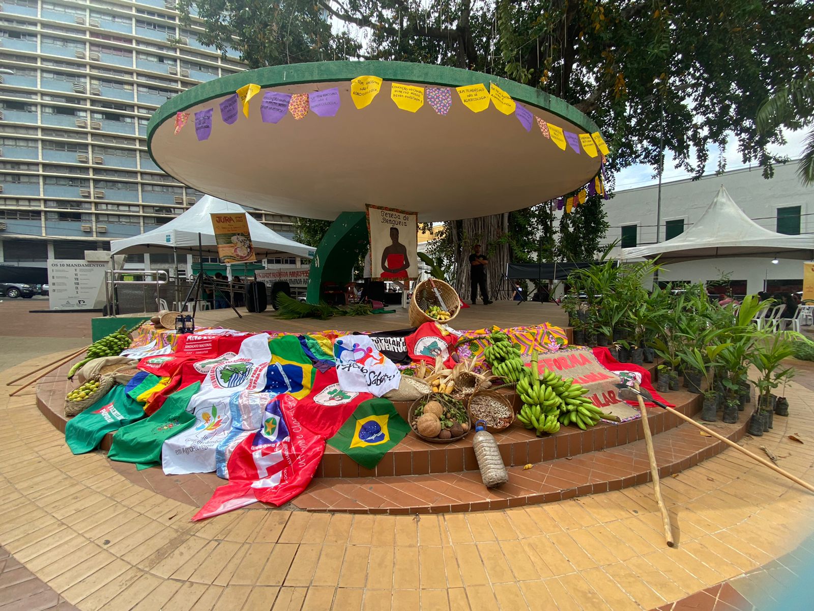 Conheça as histórias que atravessam a Feira Saberes e Sabores da Terra