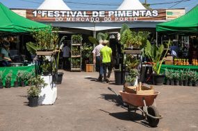 Primeiro Festival de Pimenta do Mercado do Porto segue até domingo 