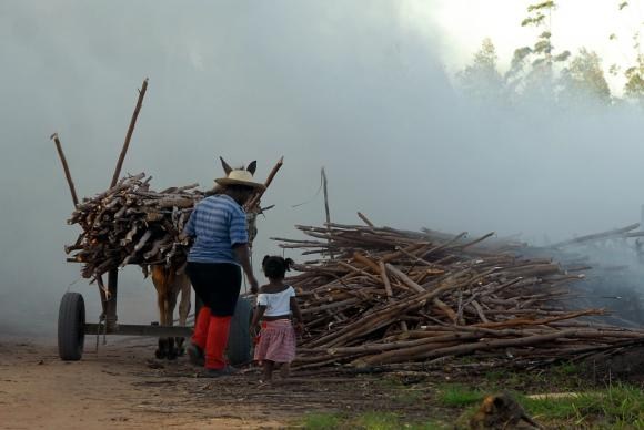 Brasil registra aumento de trabalho infantil entre crianças de 5 a 9 anos