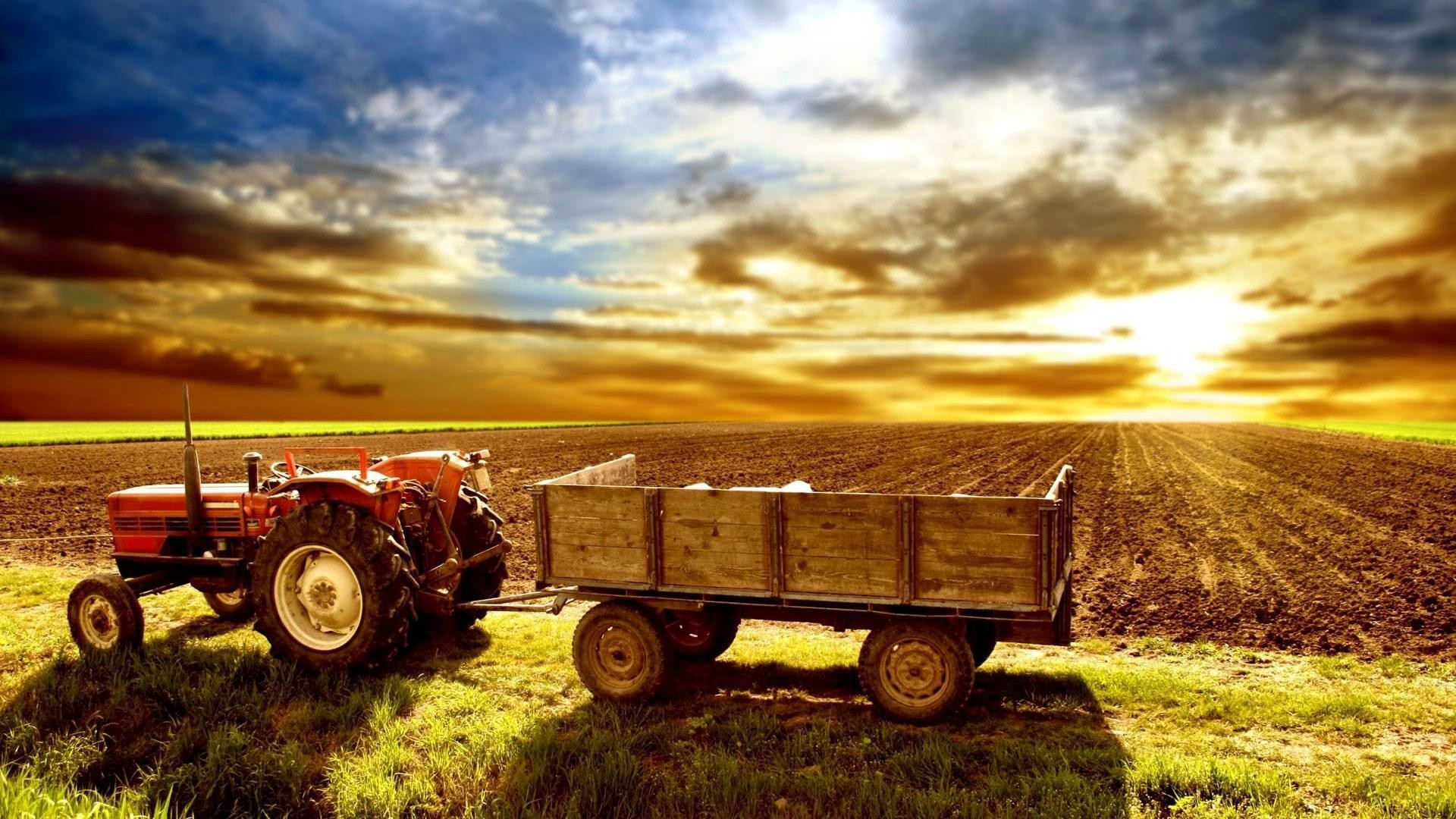 Produção do campo em Mato Grosso deve chegar a R$ 81 bilhões este ano