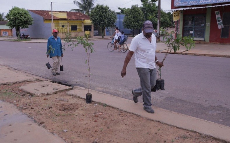 Sinop inicia projeto  para arborizar todo o município