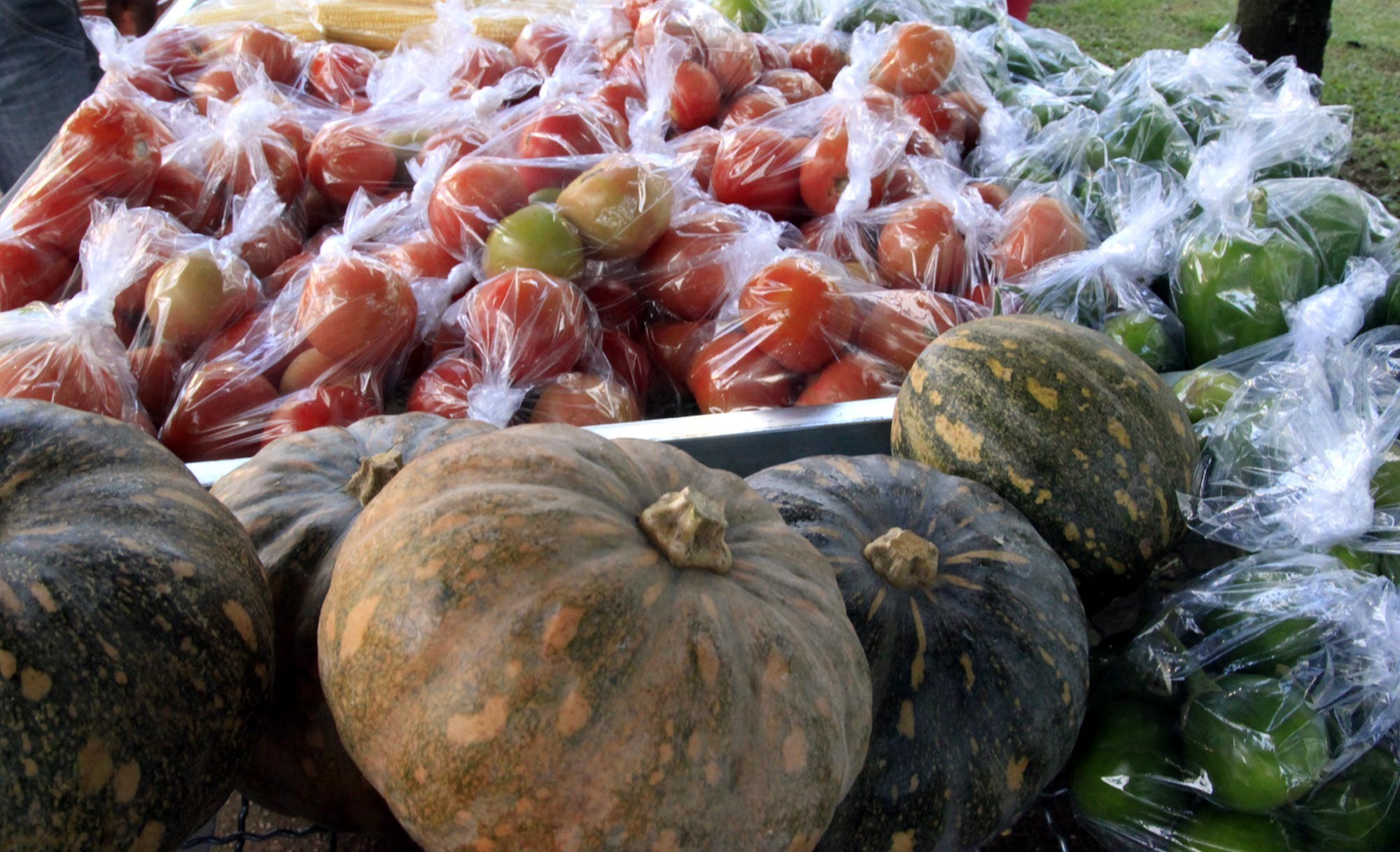 REFEIÇÕES VEGETARIANAS - ATÉ 65% MAIS ECONÔMICAS