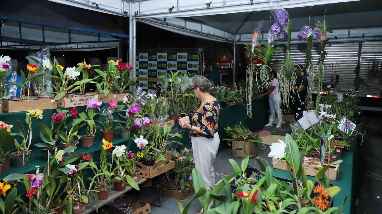 VG - FESTIVAL DE FLORES E PLANTAS