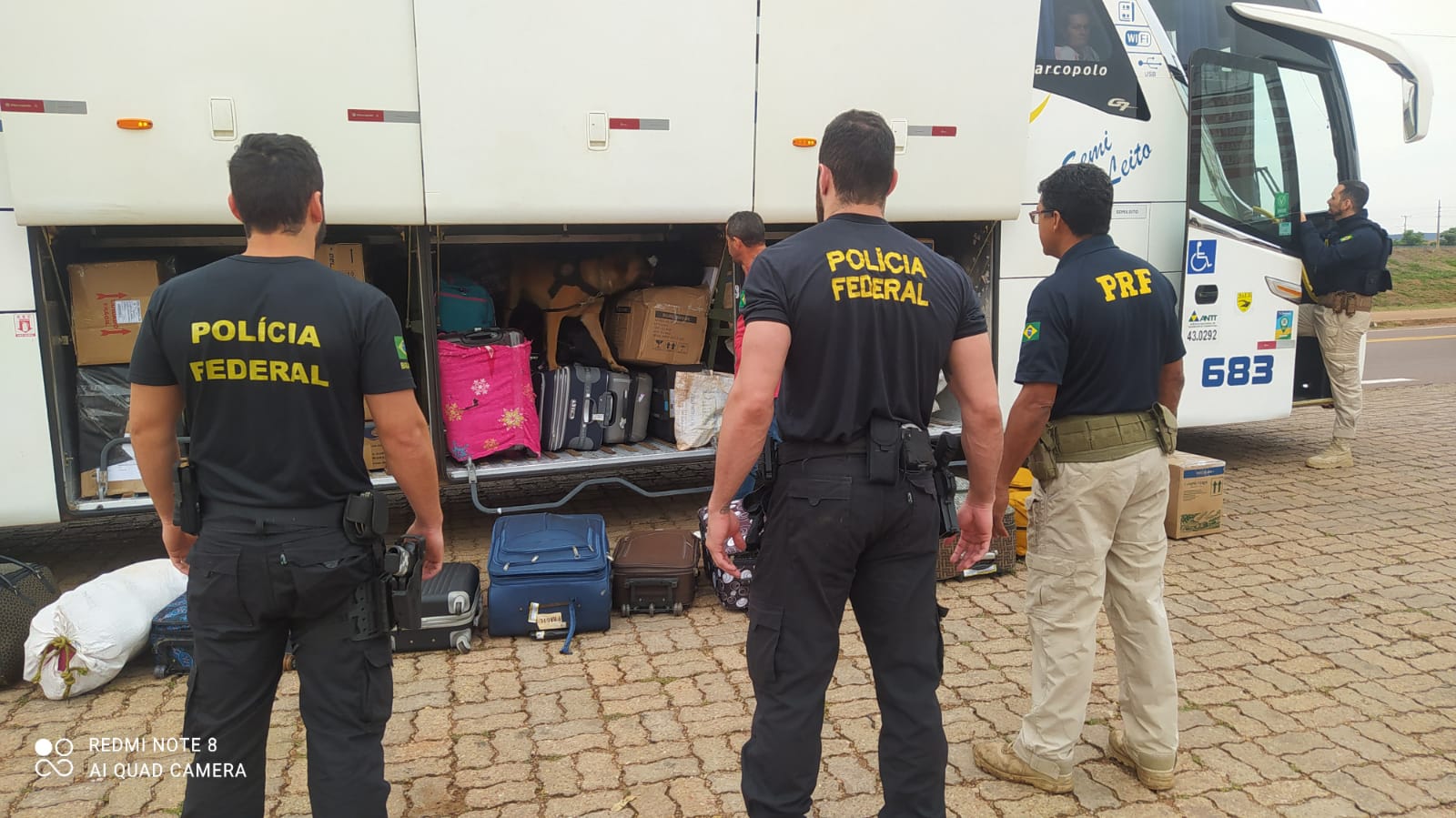 PF e PRF apreendem 685 kg de cocaína em carreta de algodão 