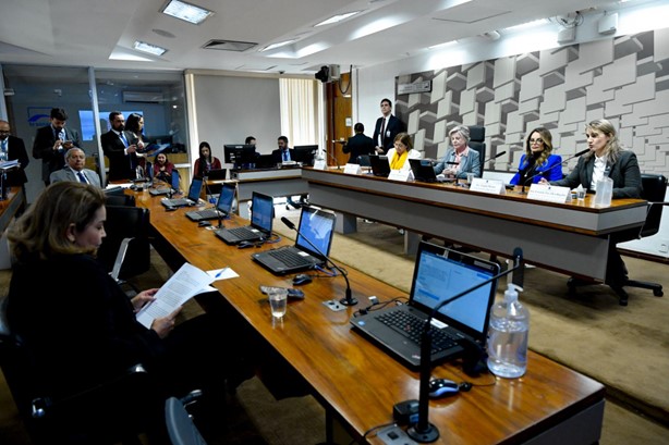 Senador cobra reforço nas ações para combater a violência contra a mulher