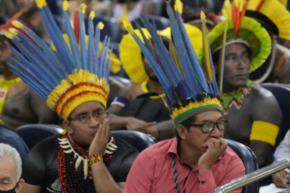 AL: audiência debate situação da Saúde Indígena em Mato Grosso