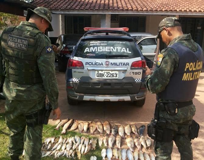 Destino Bolívia: Polícia recupera 4 veículos avaliados em R$ 590 mil