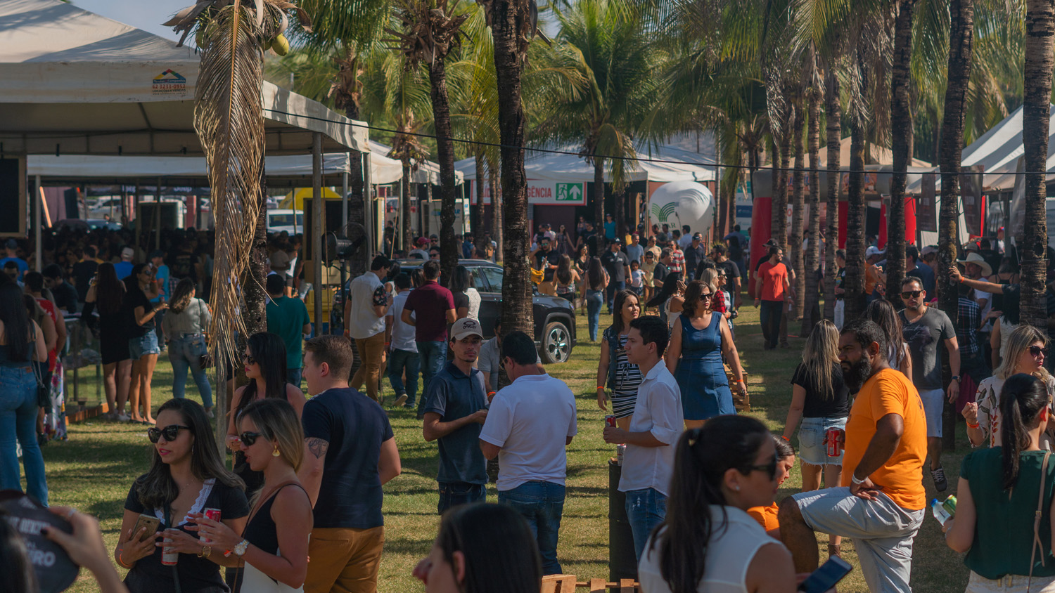 6ª Edição do Festival Braseiro bate recorde de entidades filantrópicas inscritas