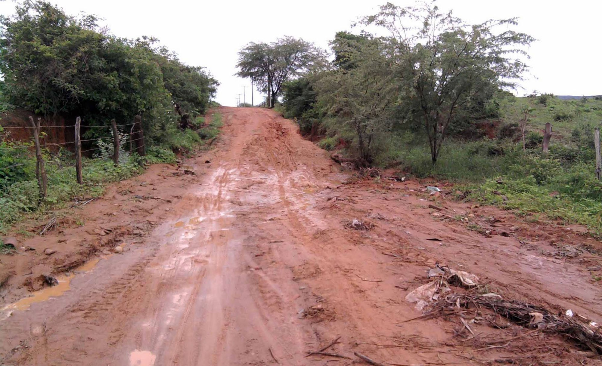 Dnit lança obras de recuperação da BR-174 com garantia de R$ 12 mi