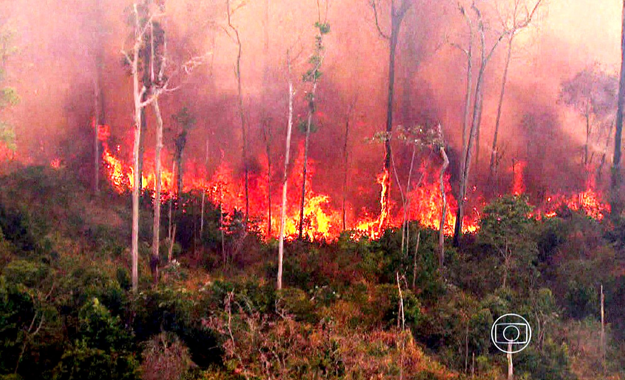 Seca aumenta incêndios na Amazônia em 36%, aponta levantamento do IPAM