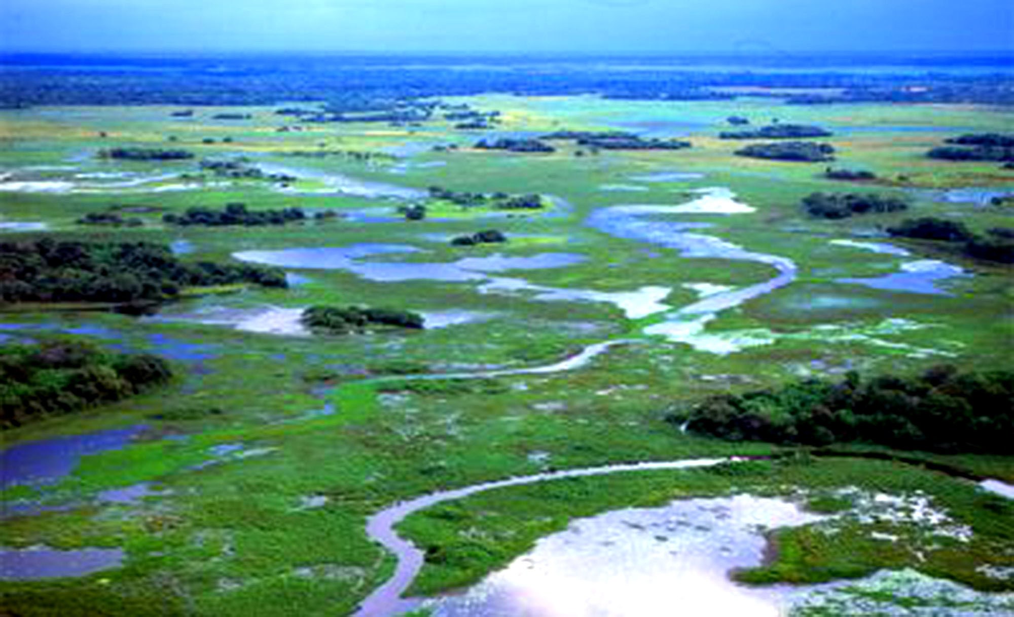 As normas jurídicas têm que ser muito claras, alerta ministro sobre Pantanal