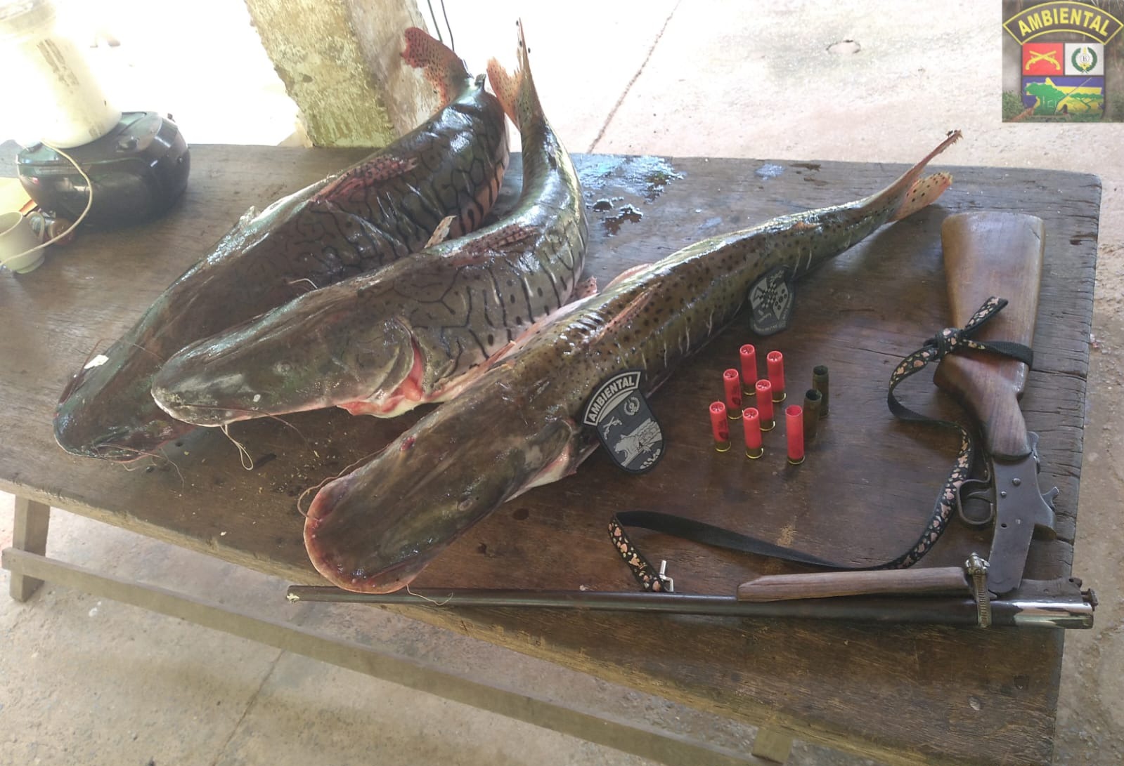 Apreensão de pescado irregular e armamento em Barra do Bugres