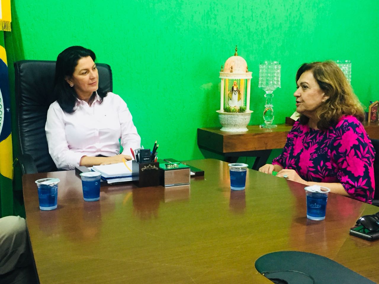 Ex-reitora e prefeita de Sinop debatem projeto de criação da UFMT do Norte
