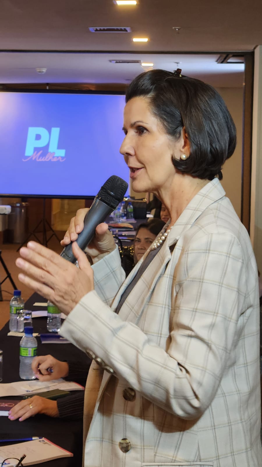 ENCONTRO DO PL MULHER EM MT