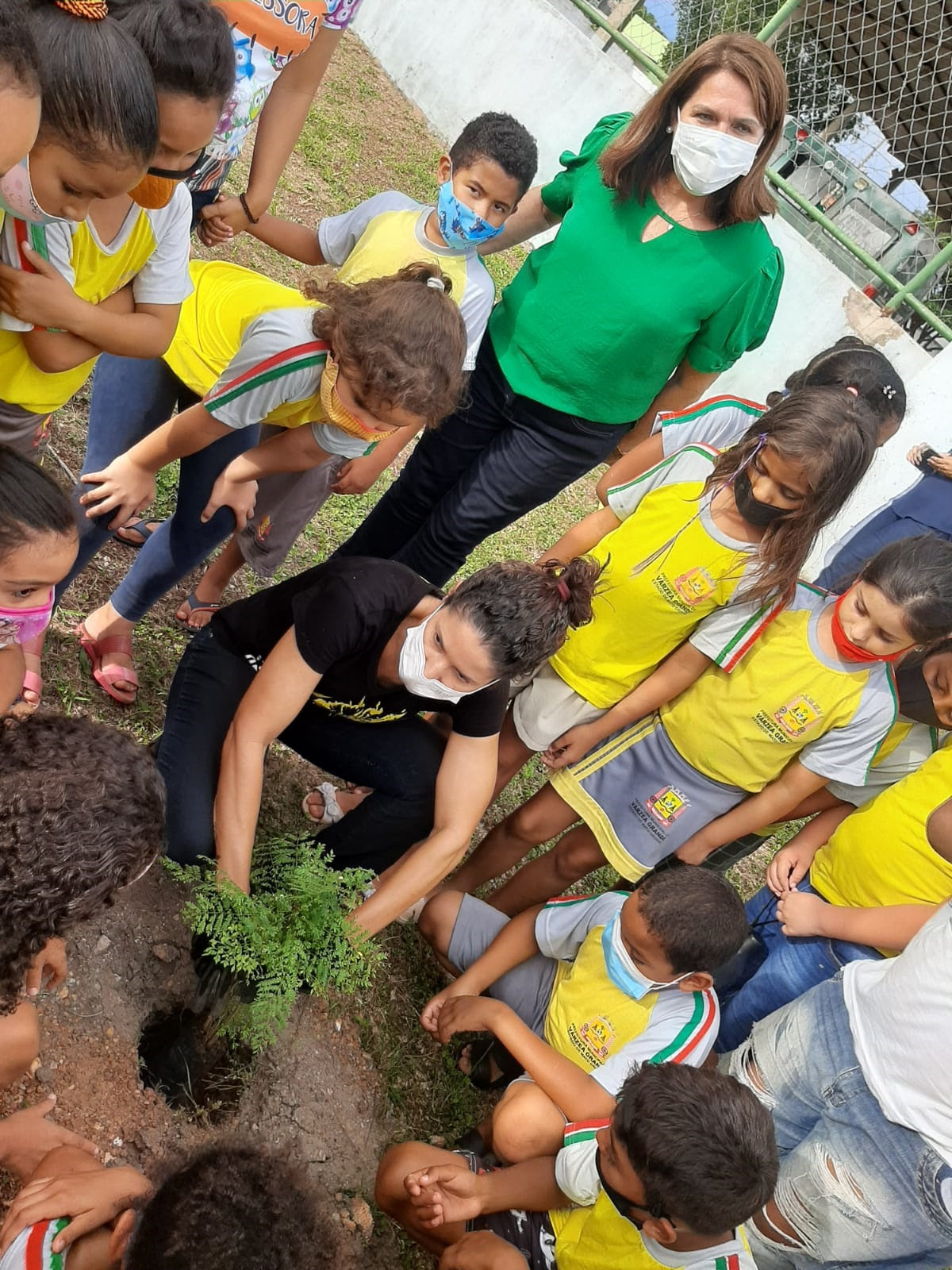 Prefeitura realiza plantio de 155 mil mudas de árvores em escolas municipais 