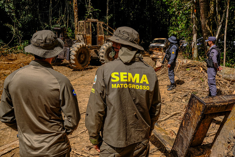 Sema: R$ 227 milhões em multas no 1º trimestre por crimes ambientais
