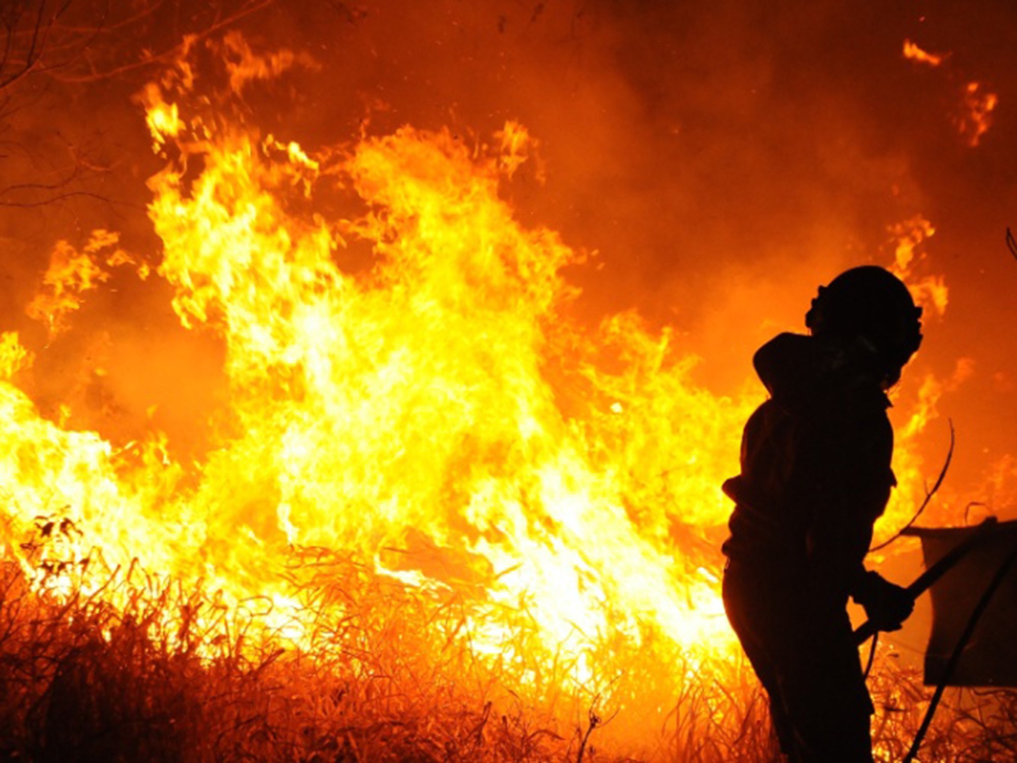 Incêndio ameaça Parque das Onças-Pintadas: 20 mil hectares afetados