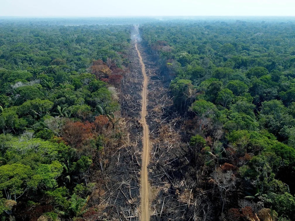 Medição do Inpe aponta aumento de 47,7% de desmate na Amazônia 