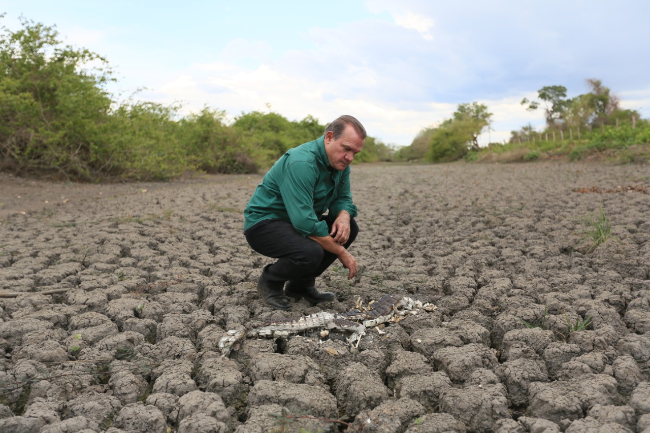 Wellington lembra grave crise e cobra agilidade para aprovação do Estatuto do Pantanal