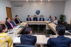 Rede de Controle alerta sobre requisitos constitucionais à disputa de conselheiro do TCE