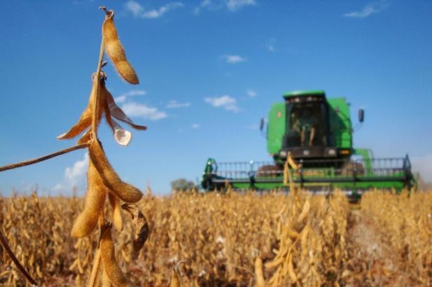 Chuvas ininterruptas dificultam colheita da soja em Mato Grosso