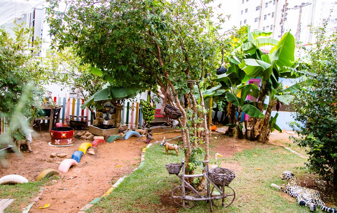 Educação ambiental desde a 1ª infância cria valores perenes, defende psicopedagoga