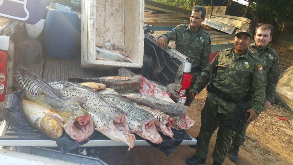 Polícia apreende quase meia tonelada de pescado irregular em VG