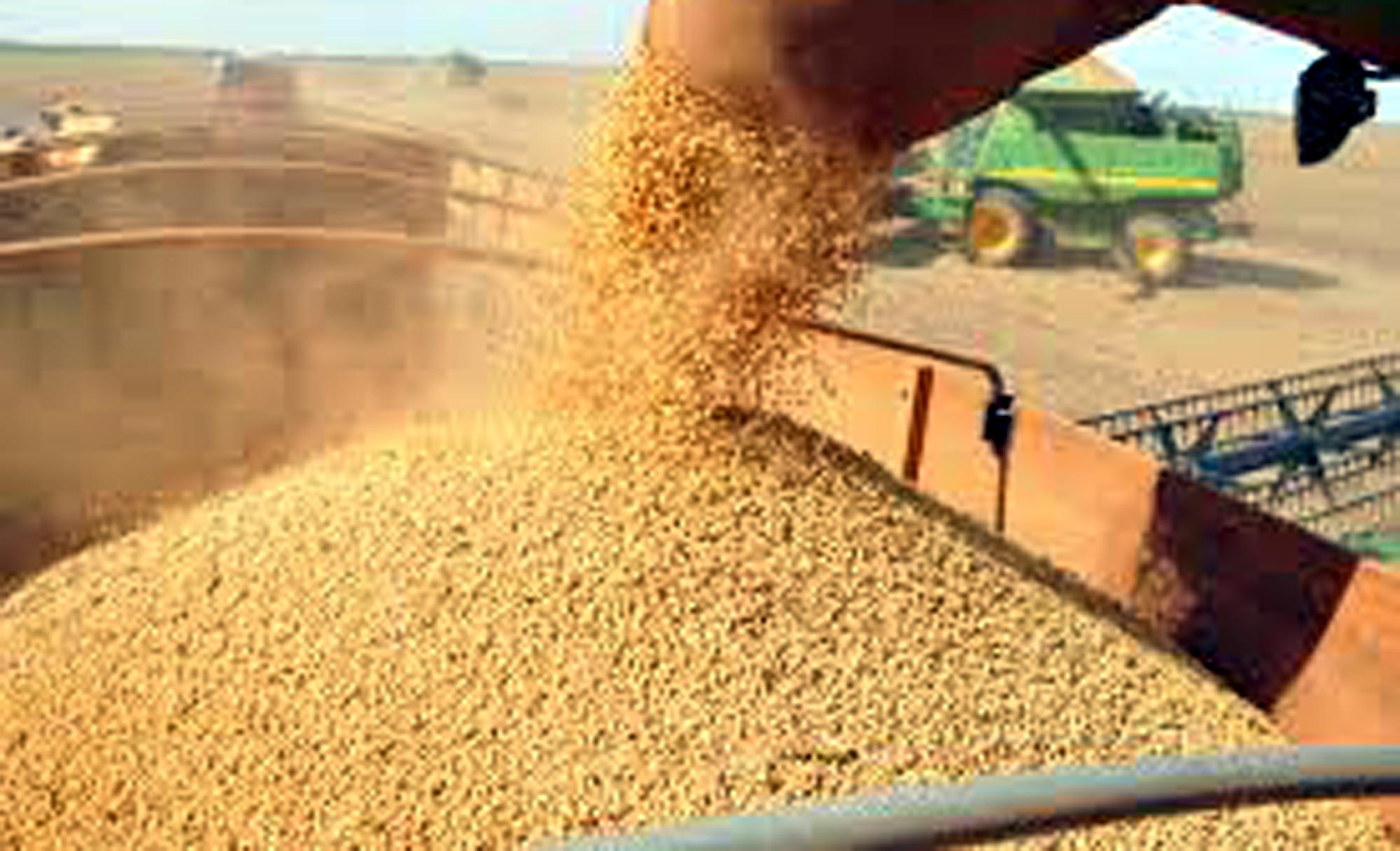 Multinacionais dominam lobby do agronegócio no Brasil, aponta relatório