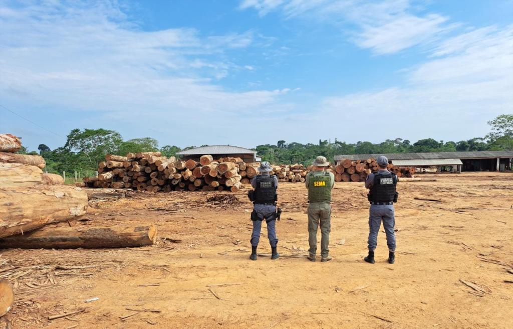 Estado aponta fraude em plano de manejo e apreende madeira ilegal 