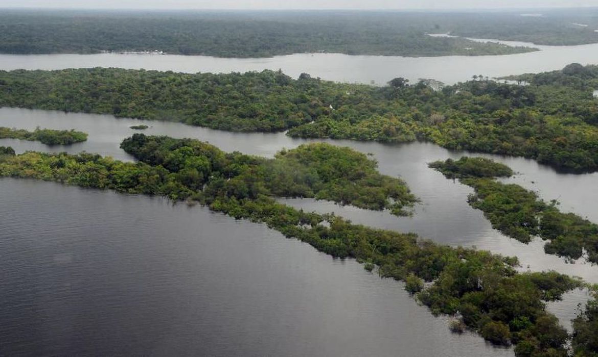 Fundo Amazônia recebe R$ 3,3 bilhões em doações